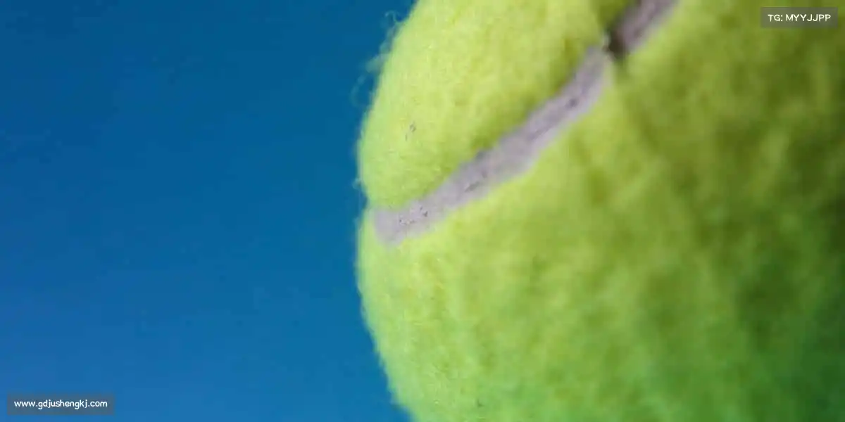 壹号娱乐🏋️‍♀️举铁不只是锻炼，是和自己较量的无声战役！